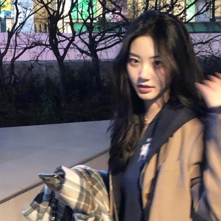 神探默多克第五季